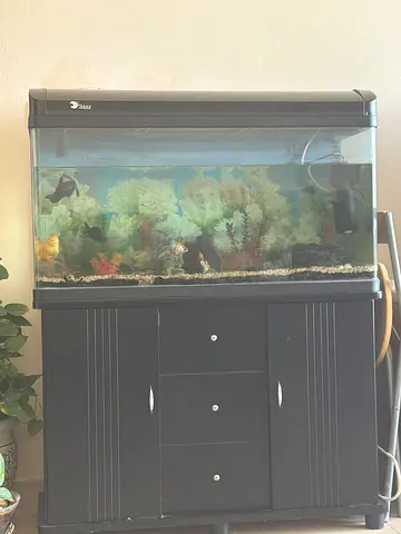 Large Fish Aquarium with Stand and Hood — Ready to Use