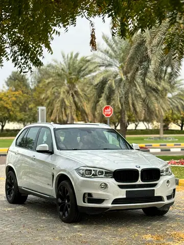 2017 BMW X5 缩略图 3