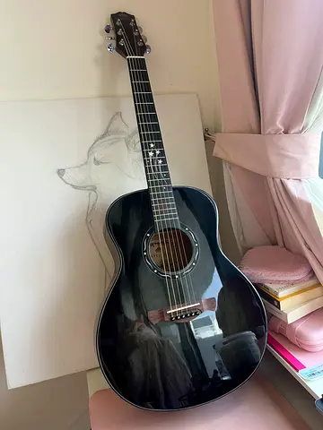 Steiner Acoustic Guitar for sale