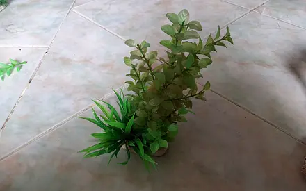 Aquarium Decorations For Artificial Plants