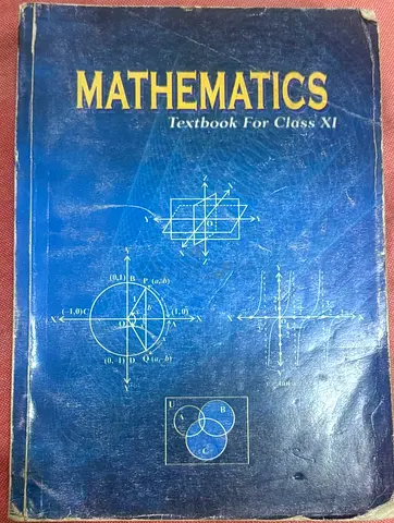 Grade 11 Maths CBSE for sale