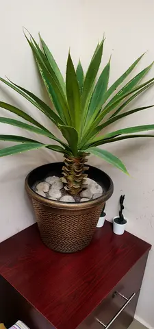 Bundle of Big artificial plants approx 73 to 74 cms in height each