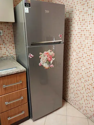 BEKO brand Fridge