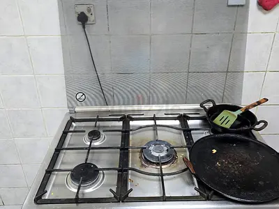 Electrolux 5 burner 1 yr old stove