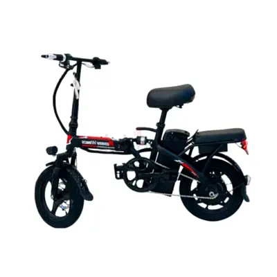 Rohan Wings Electric Bike KQ-02
