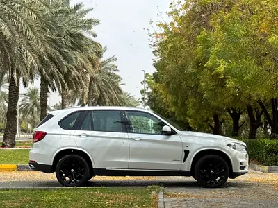 2017 BMW X5 缩略图 12