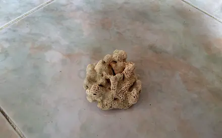 Premium Aquarium Rocks