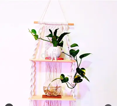 Decorative Hanging Plant Shelf