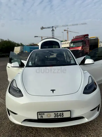 Tesla Model Y Long Range with loaded accessories