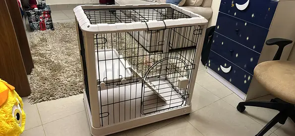 Animal cage