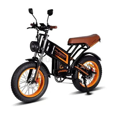 Kugoo V5 Electric Bike 750W 50km/h 48V