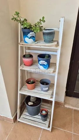 Wooden leaning ladder plant shelf