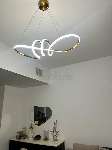 Modern Spiral LED Ceiling Light