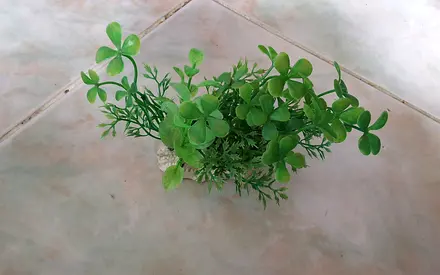 Aquarium Decorations For Artificial Plants