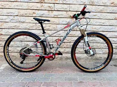 Silverback Mountain Bike for Sale