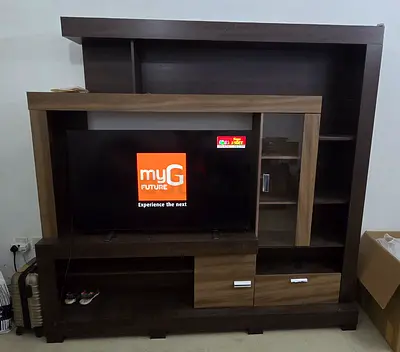 Modern Entertainment Center with Storage