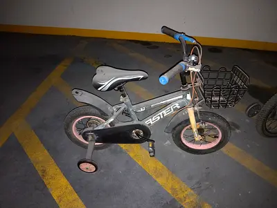 Used Kids Bicycle - Aster Model