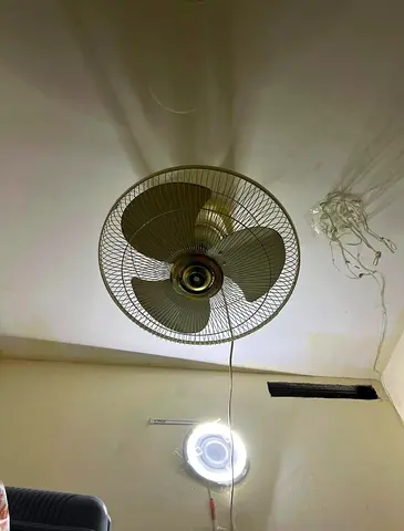 Ceiling Fan for Sale long life time guranteed fan Pak Fan best durable double copper coiling