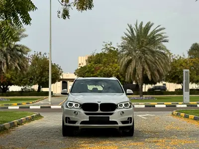 2017 BMW X5 缩略图 5