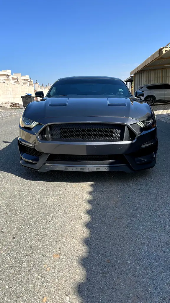 Ford Mustang 2019 — photo 1 of 5