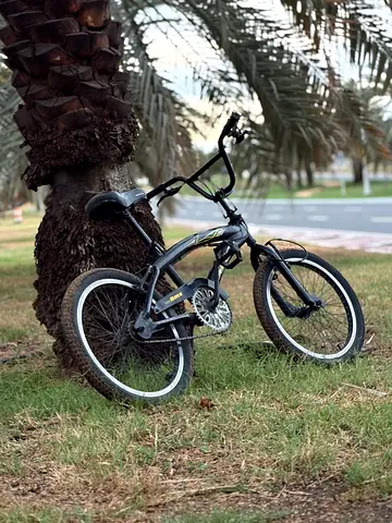 Black bmx bike