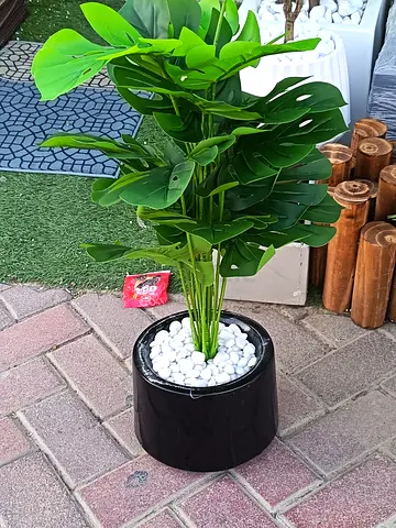 artificial monstera in black pot with white pebbles