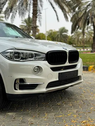 2017 BMW X5 缩略图 11