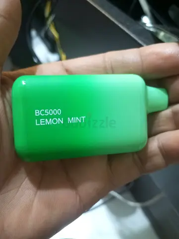 BC5000 Lemon Mint – compact green portable power bank