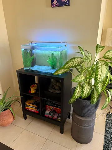 Stylish Fish Tank Stand