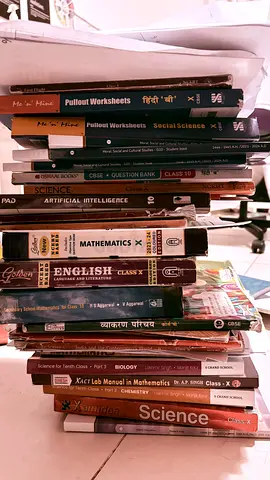 Assorted School Textbooks and Workbooks with pyq 2025 qs paper