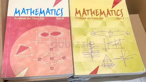 Grade 12 CBSE Maths books for sale