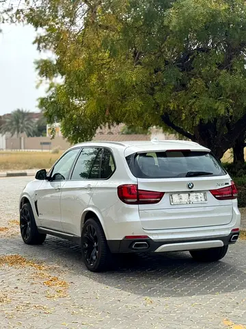 2017 BMW X5 缩略图 9