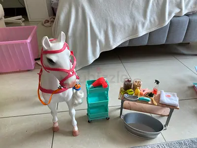 Our genration horse, with pet supplies