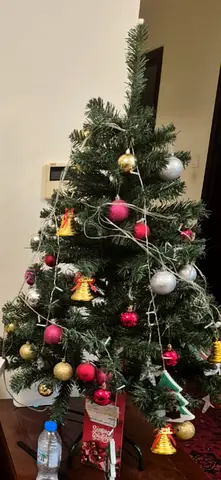 Christmas tree with decorations