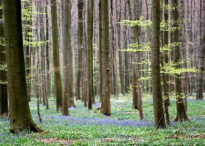 Grounded 1:1 Conversational Sessions for Men Who Carry a Lot (Private Paid Session)