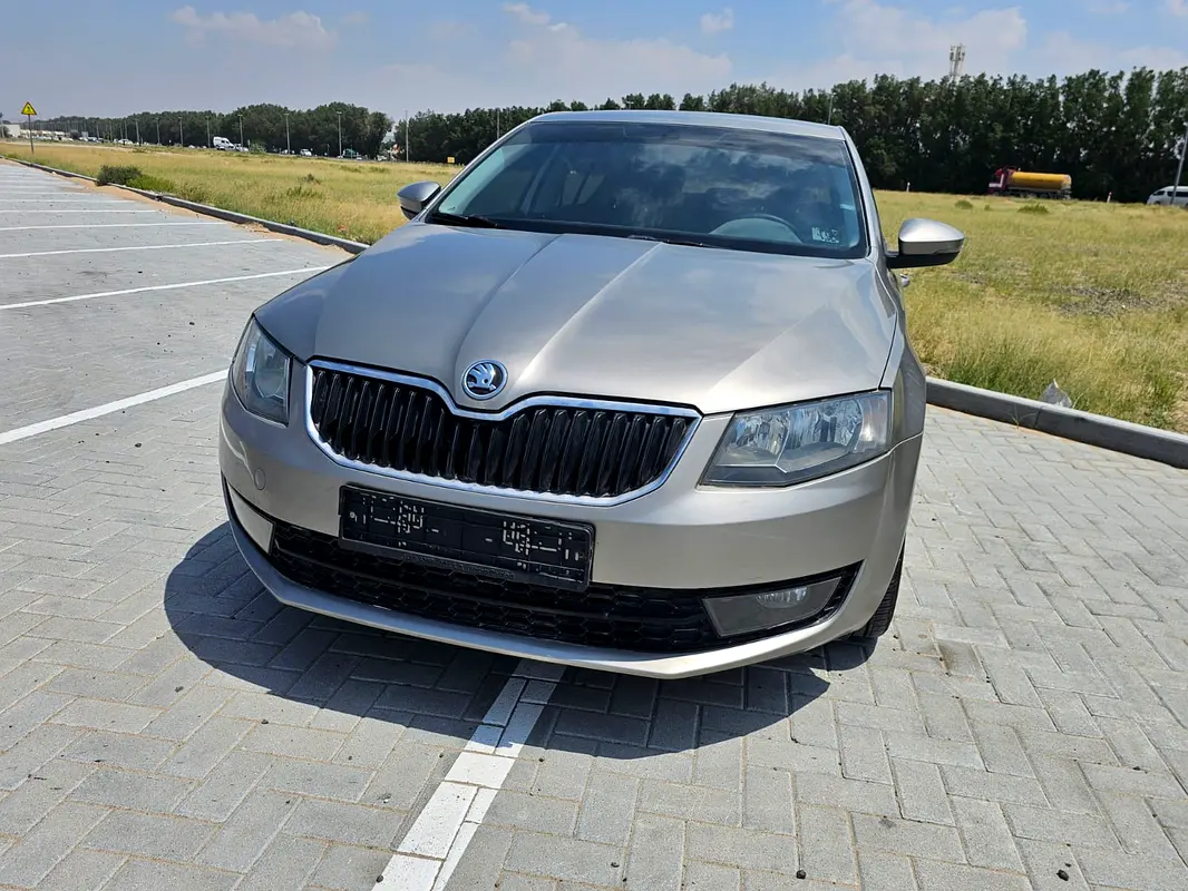 Skoda Octavia 2017 — photo 1 of 7