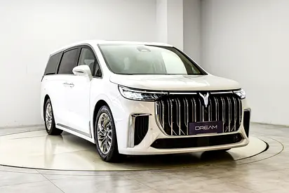 2025 VOYAH DREAM — Luxury Electric MPV
