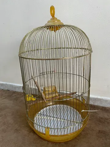 Bird cage for sale