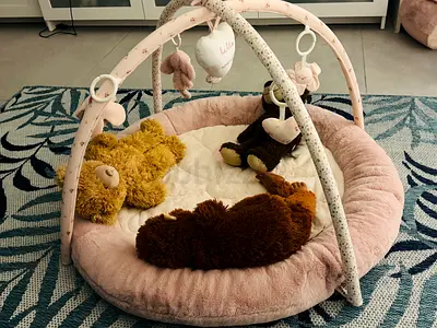 Soft Play Gym for Babies