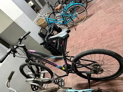 Used mountain Trinx bike with disc brakes — good working condition