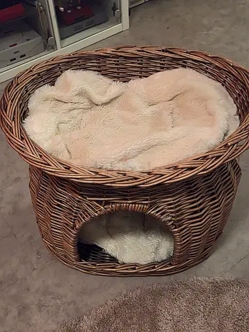 Wicker Covered Cat Bed with Plush Removable Cushion