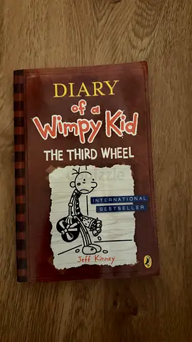 Diary of a Wimpy Kid — The Third Wheel (Good Condition)