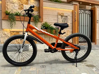 Royalbaby Children Bike 20”