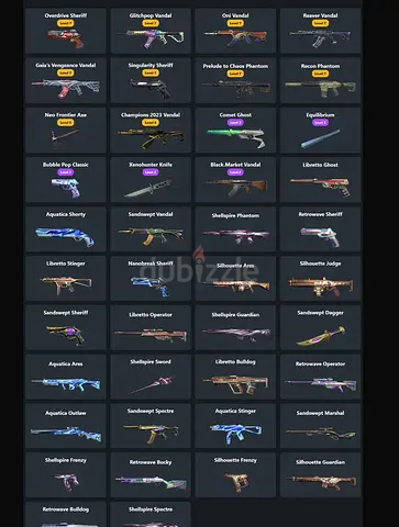 Valorant 2023 account champion Vandal