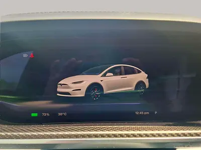 2024 Tesla MODEL X 缩略图 16
