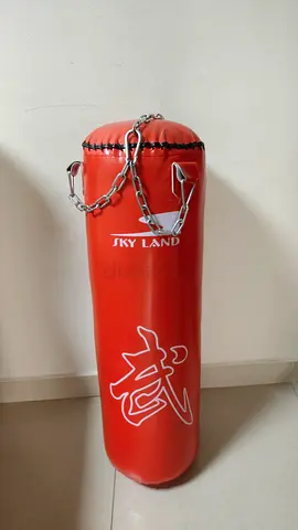 Skyland Heavy Punching Bag