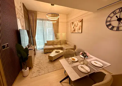 Fully Furnished | Multiple Cheques | 1BHK