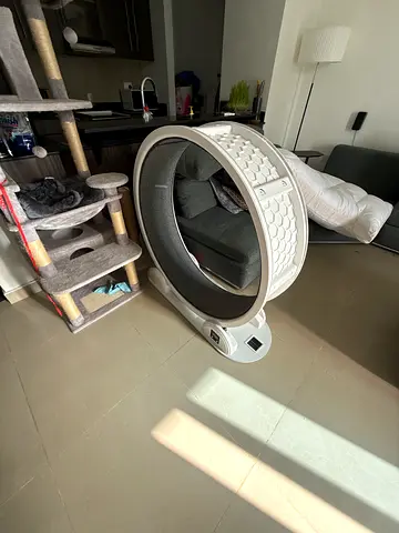 Cat wheel
