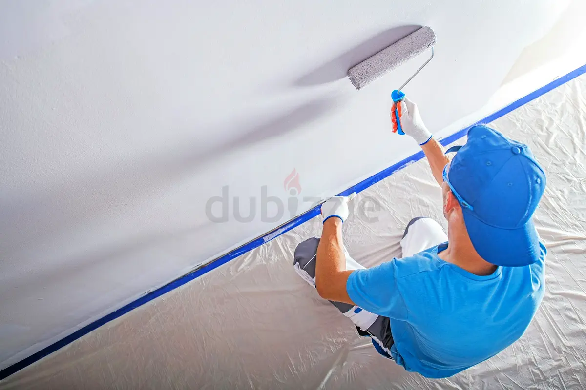 DPV_View_Image_1
