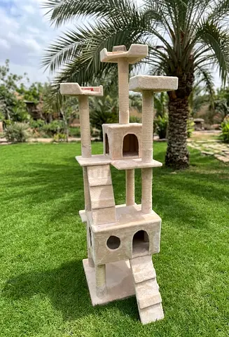Cat House for Play  Rest – Only 150 AED